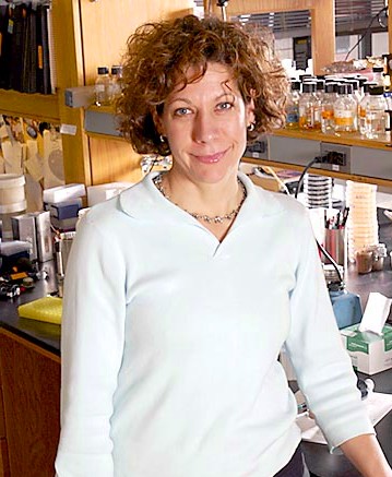 bonnie_bassler_phd_www.advancedhealing.com Bonnie Bassler is a Howard Hughes Medical Institute Investigator and professor in the Department of Molecular Biology at Princeton University