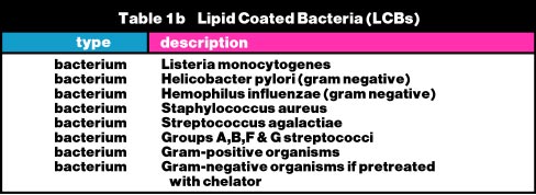 lipid_coated_bacteria