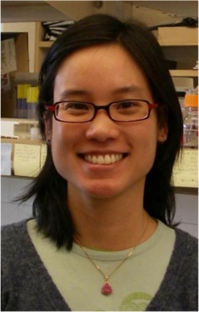 Dr. Dao Nguyen, now at McGill University, trained in the University of Washington lab of Dr. Pradeep Singh, a lung specialist who studies bacterial biofilm infections.