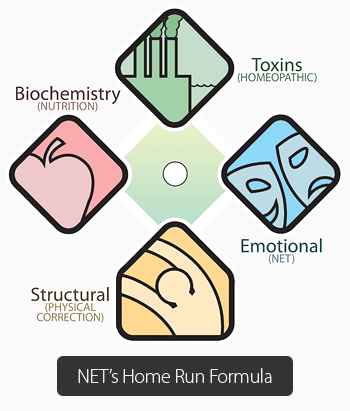 Orange chiropractor plus N-E-T and N-A-E-T equal optimal wellness