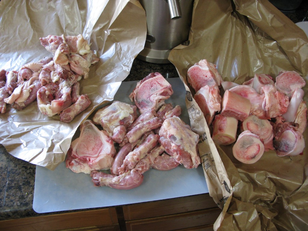 Two weeks worth or bones and parts