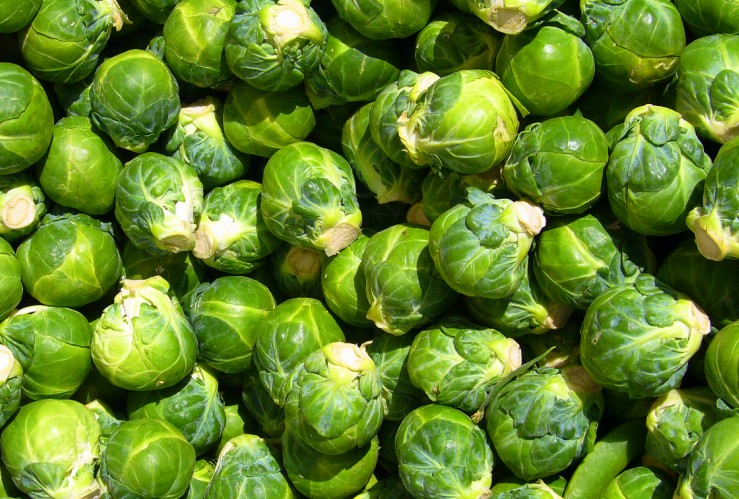 Brussels Sprouts Reduce Oxidative Stress
