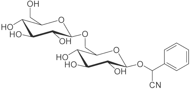 Vitamin B17, Laetrile, Amygdalin