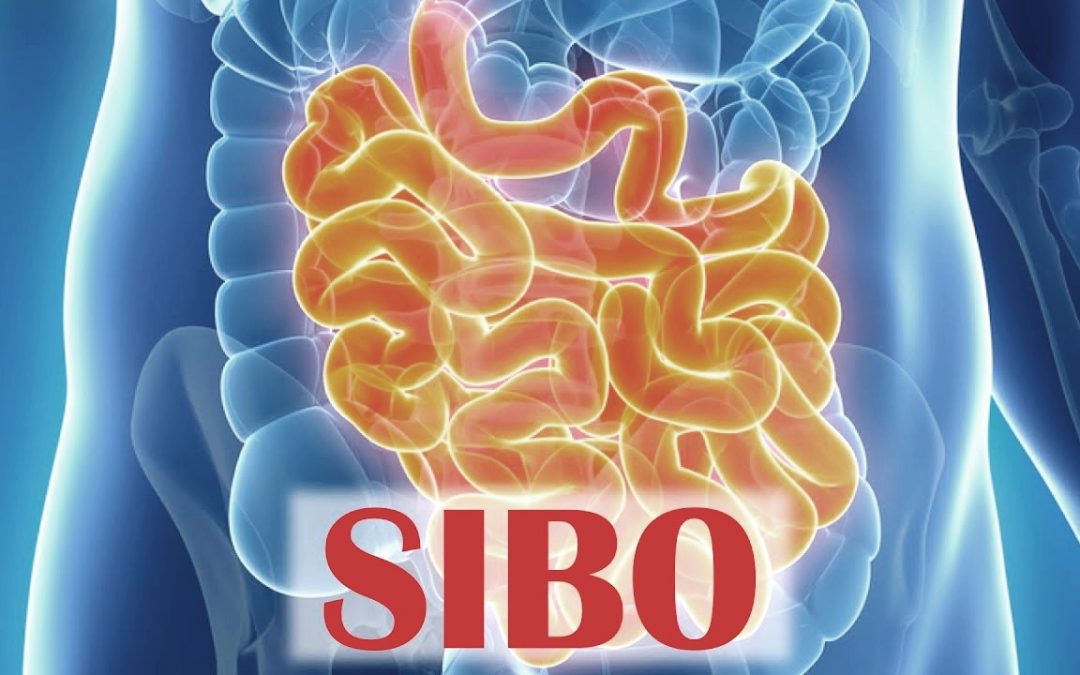 SIBO Specialist Located In Orange County, CA