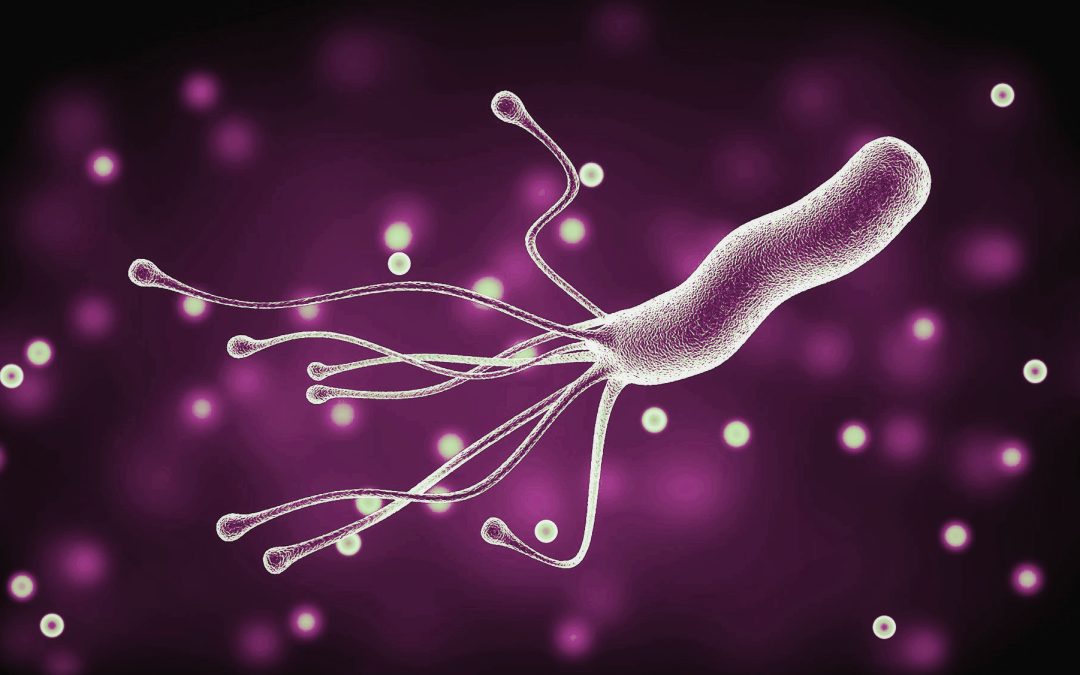 Helicobacter pylori Facts and More Facts…