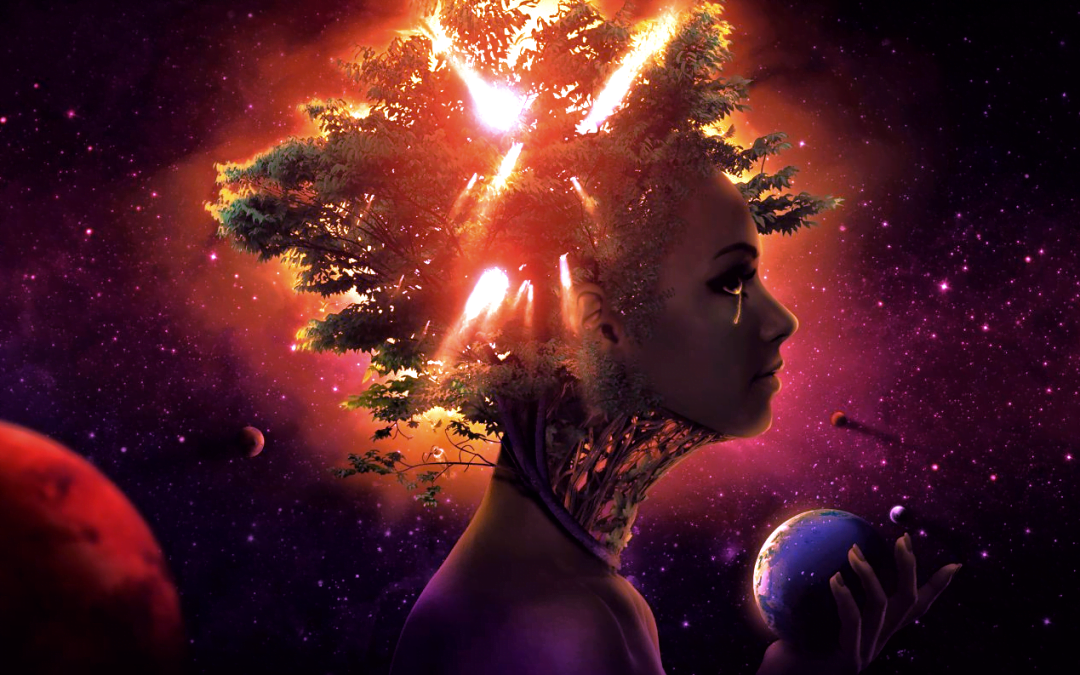 Quantum Systems and Its Relevance to Humans and The Sixth Extinction
